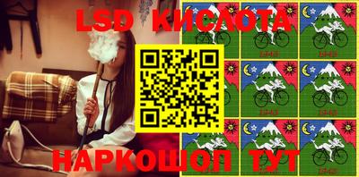 стафф Сланцы