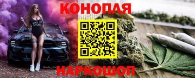 шишки Славгород
