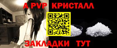 шишки Славгород
